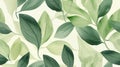 abstract green leaf texture, nature background, tropical leaf Royalty Free Stock Photo