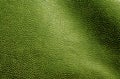 Abstract green leather texture. Royalty Free Stock Photo