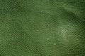 Abstract green leather texture. Royalty Free Stock Photo