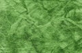 Abstract green leather texture. Royalty Free Stock Photo