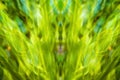 Abstract green leavesbright light fresh nature background