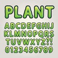 Abstract Green Nature Alphabet and Numbers Royalty Free Stock Photo
