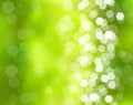 Abstract green nature background Royalty Free Stock Photo