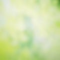 Abstract green nature blurred background with bright sunlight, flare and bokeh effect, blurry gradient backdrop for design element Royalty Free Stock Photo