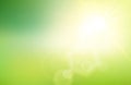 Abstract green nature gradient blurred background with sunlight