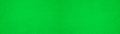 Abstract green neon colored textured plaster or paper with spatula technique texture background banner panorama Royalty Free Stock Photo