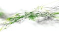 Abstract Green Network Connection:  Interconnected Nodes and Lines forming a Complex Web, Digital Technology, Science, Artificial Royalty Free Stock Photo