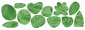 Abstract green organic textured shape. Irregular eco vector form, blob figure, simple doodle element. Asymmetric Royalty Free Stock Photo