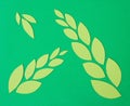 Abstract green paper leaves