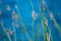 Abstract green plants by remote lake