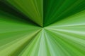 Abstract green rays background. Colorful stripes beam pattern. Stylish illustration modern trend colors.