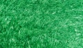 Abstract green shiny metallic glittery textured background with lighting effects. background, wallpaper. Royalty Free Stock Photo