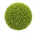 Abstract green sphere of grass 3D. Isolate