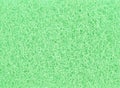 Abstract green sponge texture