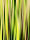 Abstract green streaks