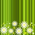 Abstract green stripe floral background Royalty Free Stock Photo