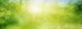 Abstract green sunny spring landscape Royalty Free Stock Photo