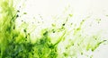 abstract green swirls and splashes Royalty Free Stock Photo