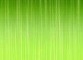 abstract green texture background