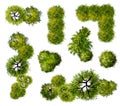 Abstract Green Tree top view Royalty Free Stock Photo