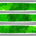 Abstract Green Triangular Polygonal torn paper banners