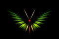 Abstract green tropical butterfly Royalty Free Stock Photo