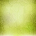 Abstract green vintage background Royalty Free Stock Photo