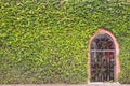 Abstract green wall of ivy or wall plant and metal door Royalty Free Stock Photo