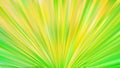 Abstract Green and Yellow Burst Background Royalty Free Stock Photo