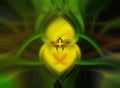 Abstract green and yellow psychedelic symmetric twirl flower wallpaper