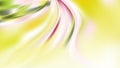 Abstract Green Yellow and White Curve Background Vector Art Royalty Free Stock Photo