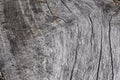 Abstract grey background.Wood texture. Royalty Free Stock Photo