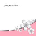 Abstract grey 3d paper flower pattern with pink strip and white background