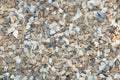 Abstract grey dry round stones background. At the beach. Sea pebbles Royalty Free Stock Photo
