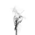 Abstract grey smoke stream isolated on white Royalty Free Stock Photo