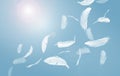 Abstract Group of White Bird Feathers Flying The Sky. Feathers Floating in Heavenly