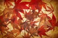 Abstract grunge autumn background with leaves