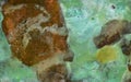 Abstract grunge background. Oxide coated copper plate Royalty Free Stock Photo