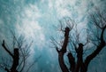 Abstract grunge background with silhouette of tree. Royalty Free Stock Photo