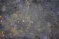 Abstract grunge dark blue textured background with spots and scratches. Tiled structured texture. Sand patch on surface. Copper Royalty Free Stock Photo