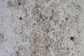 Abstract grunge light background. Concrete wall Royalty Free Stock Photo