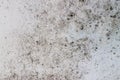 Abstract grunge light background. Concrete wall Royalty Free Stock Photo