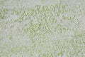 Abstract grunge lime travertine texture for background use