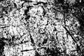 Abstract grunge monochrome texture