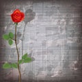 Abstract grunge music background with red rose