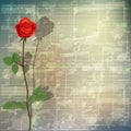 Abstract grunge music background with red rose Royalty Free Stock Photo