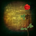 Abstract grunge piano background with red rose Royalty Free Stock Photo