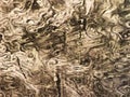 Abstract Grunge swirly background image