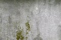 Abstract textured pattern concrete wall background with selective focus Royalty Free Stock Photo