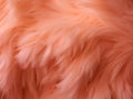 Abstract hairy background in the color of the year 2024 Peach Fuzz